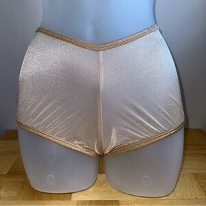 Vintage Hot Topics Inc Women’s Beige Nylon High Waisted Silky Panties Sz S NWT